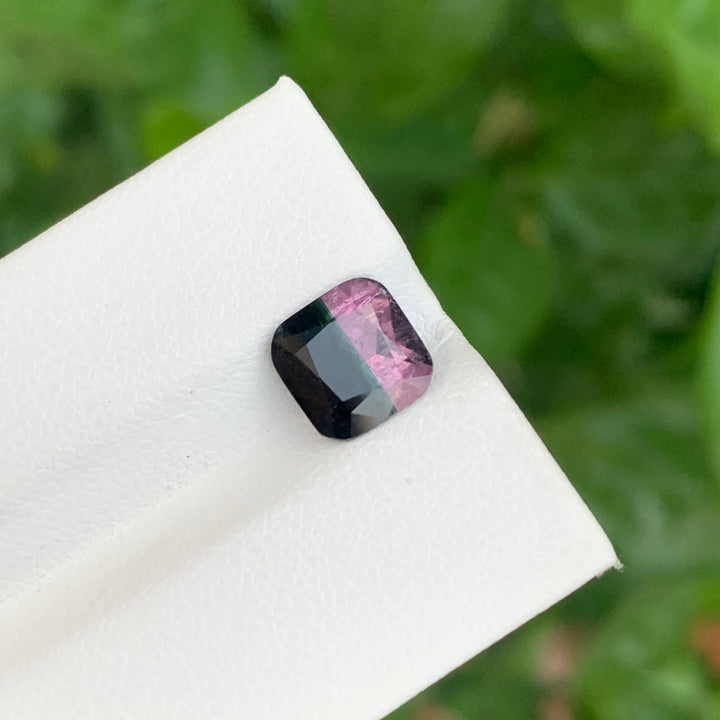 bicolor Tourmaline