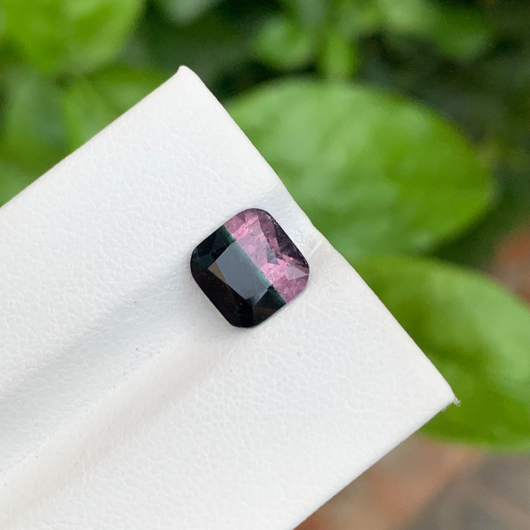 bicolor Tourmaline