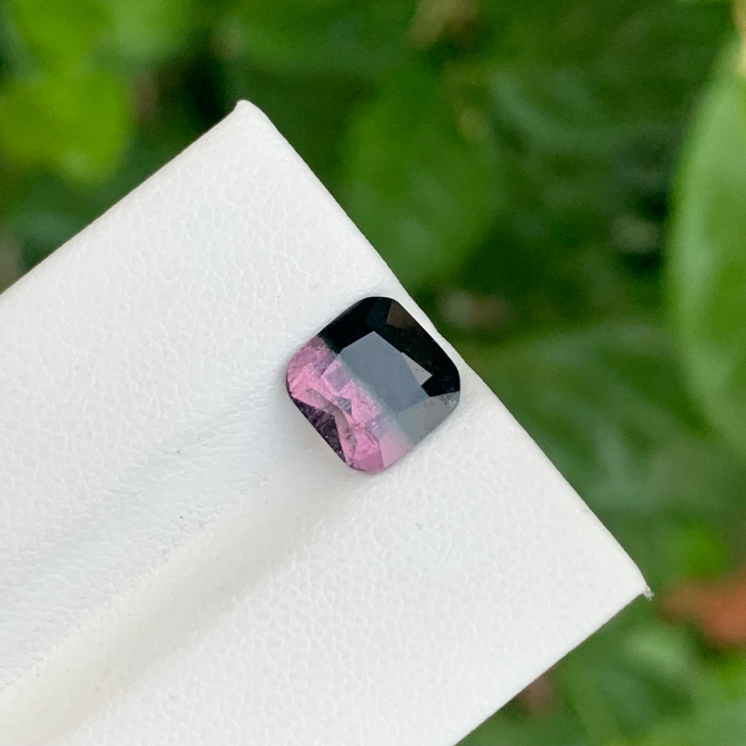 bicolor Tourmaline