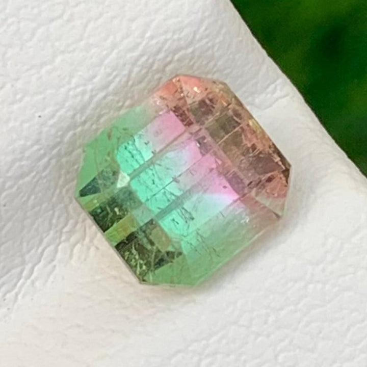 bicolor tourmaline