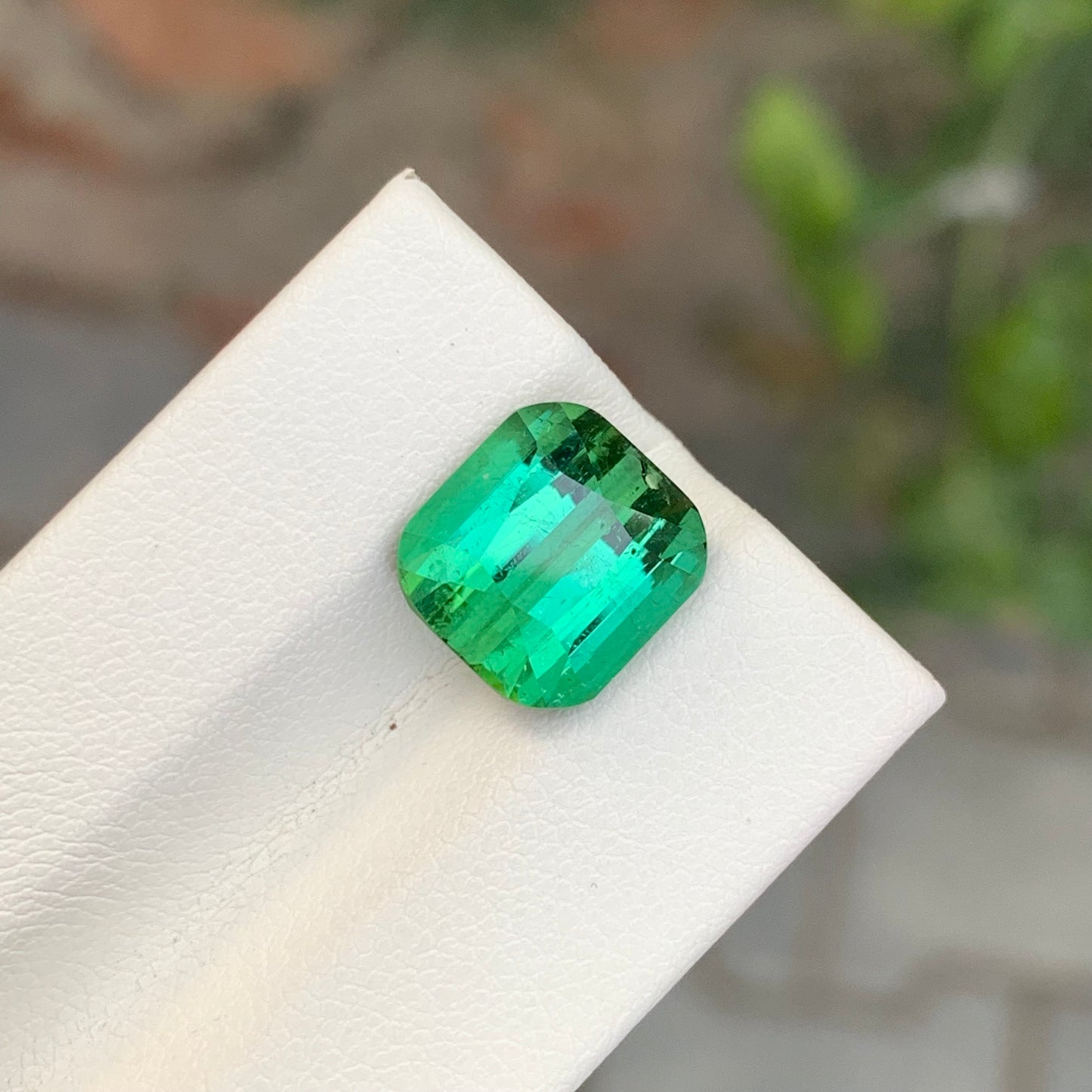 6.50 Carats Natural Blueish Green Tourmaline Gemstone Cushion Cut