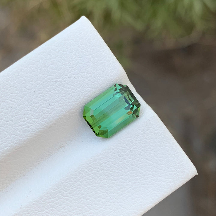 2.85 Carats Faceted Green Tourmaline