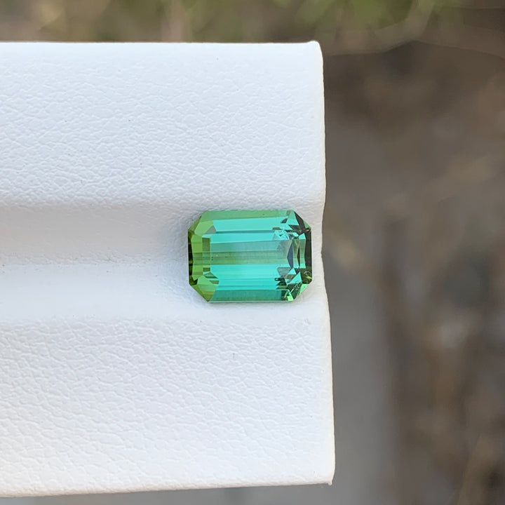 2.85 Carats Faceted Green Tourmaline