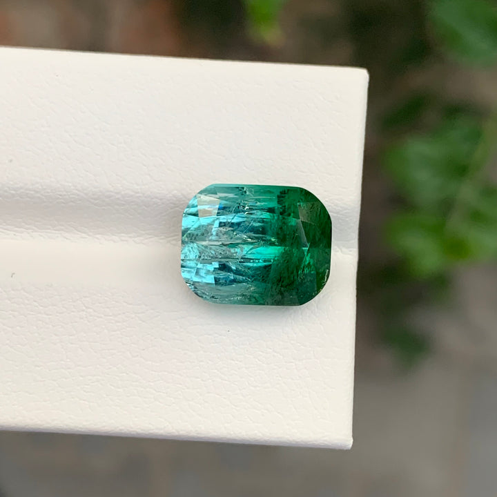 9.20 Carats Loose Bicolor Tourmaline Cushion Shape