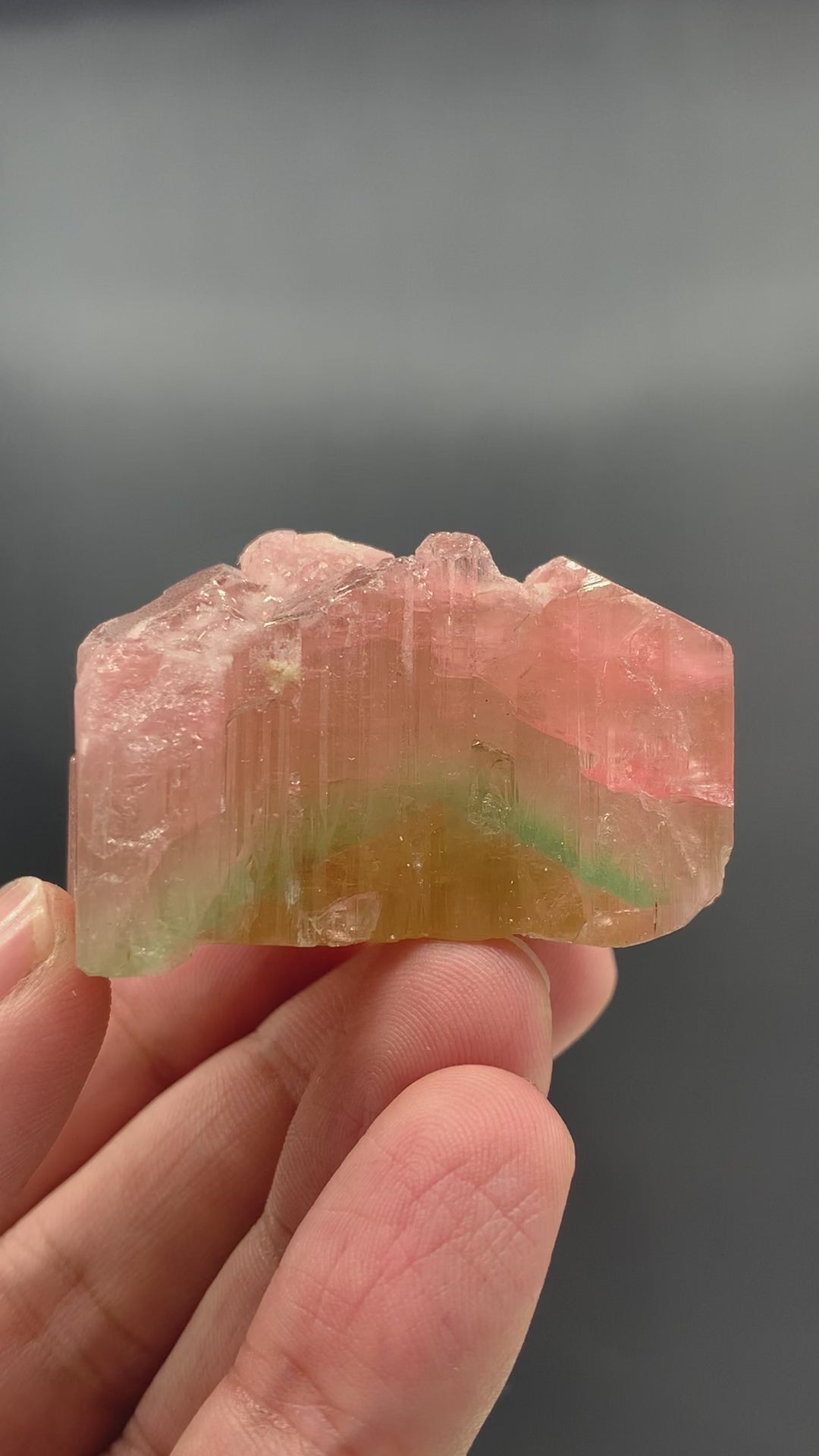 Spectacular Tri Color Tourmaline Crystal From Paprook
