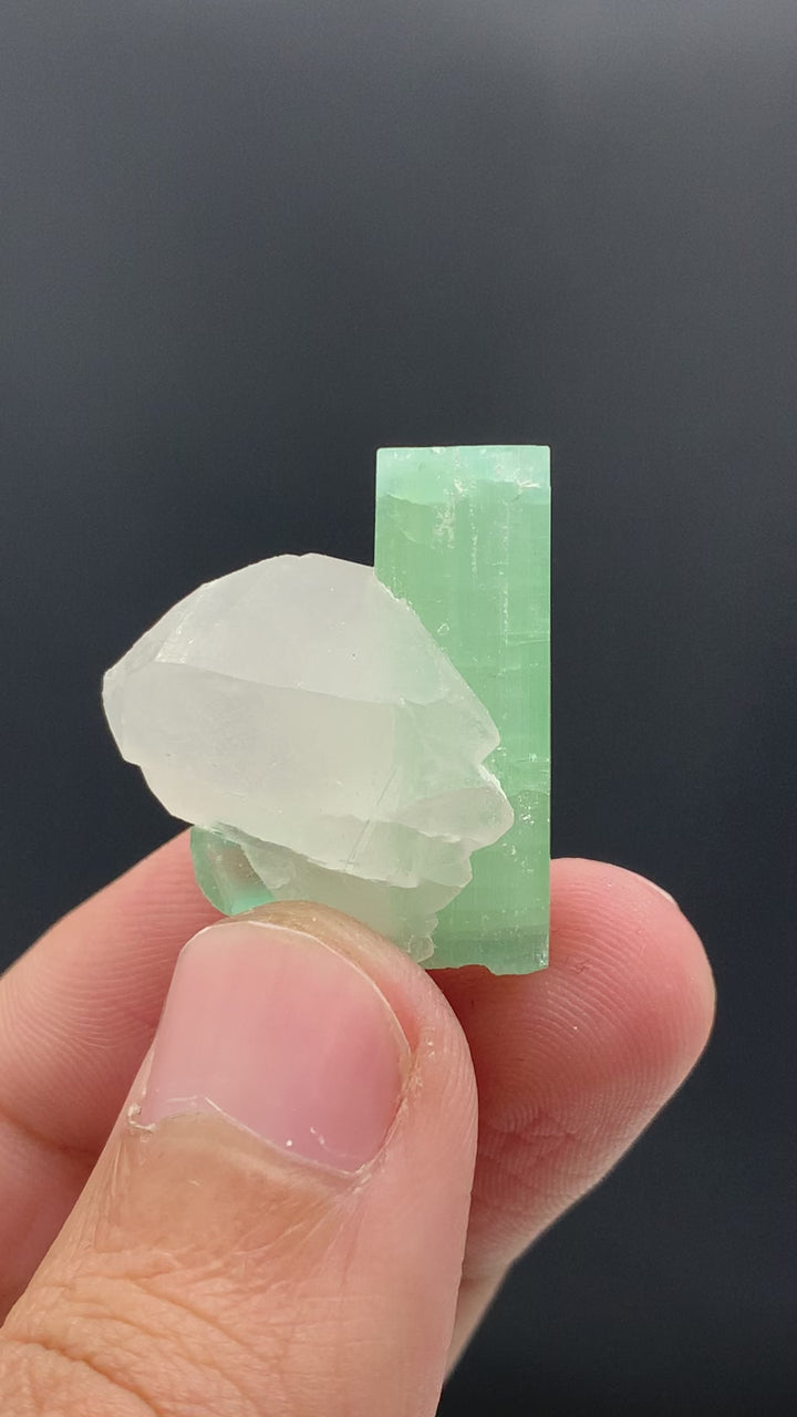 Gorgeous Dual Tourmaline Crystal On Quartz Specimen