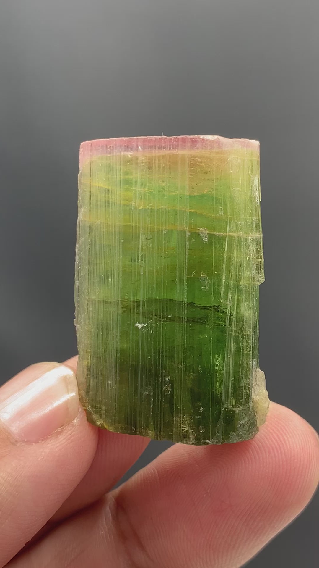 Magnificent Pink Cap Tri Color Tourmaline Crystal From Paprook Mine