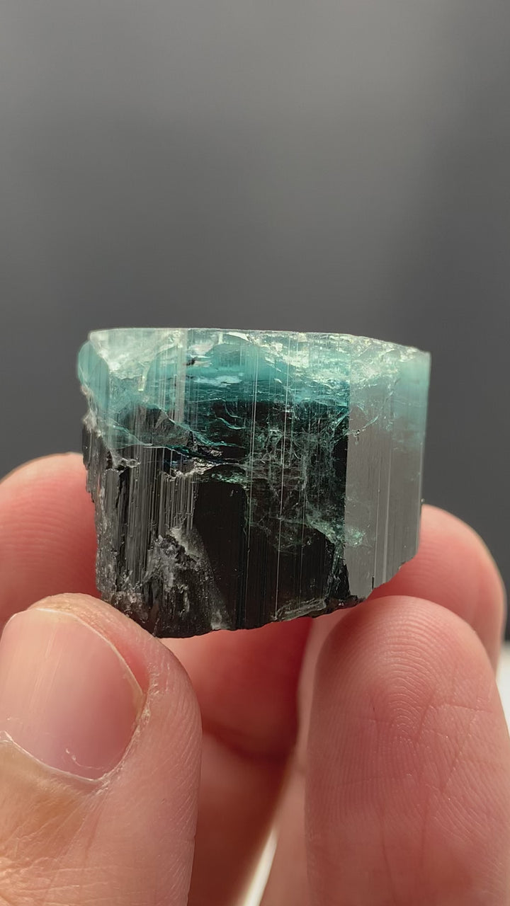 Tremendous Bi-Color Tourmaline Crystal From Kunar, Afghanistan