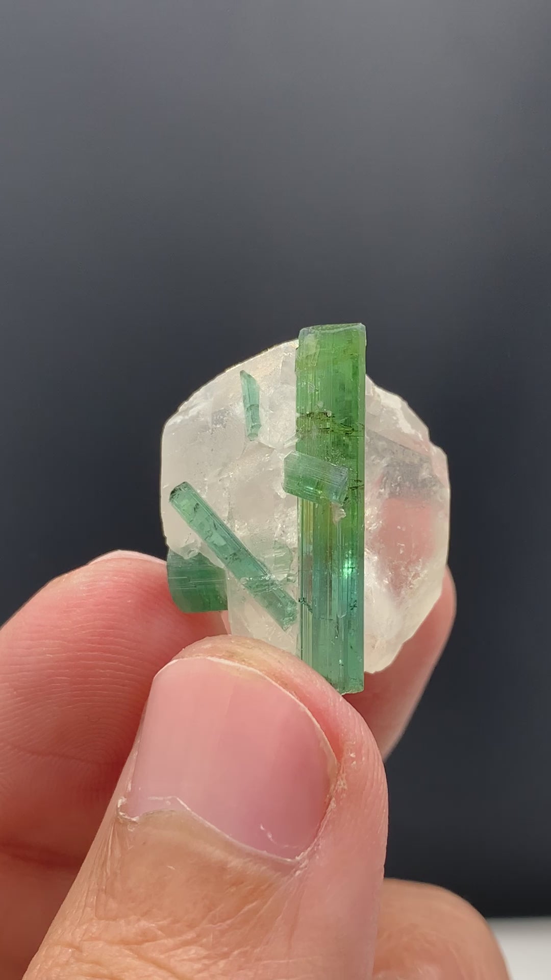 Elongated Bi Color Tourmaline Crystal Cluster On Quartz Specimen